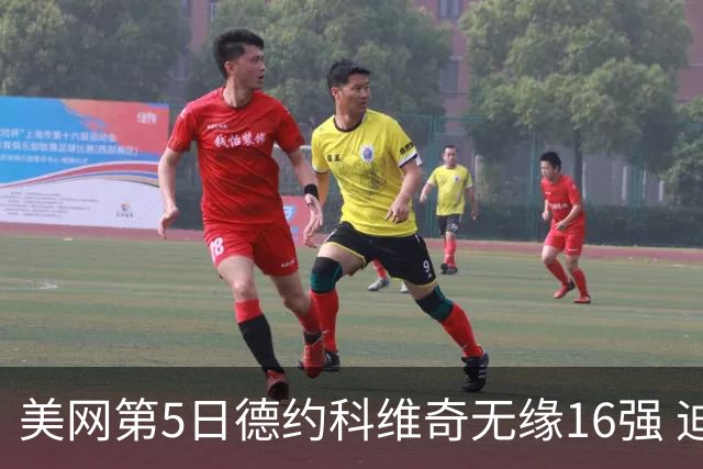美网第5日德约科维奇无缘16强 迪米卢布列夫会师